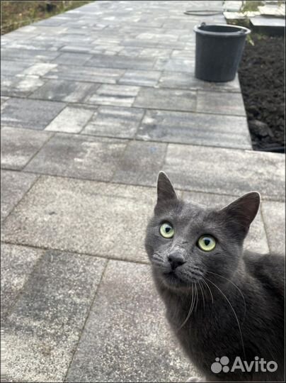 Тротуарная плитка Новый город заказ от 120 м2