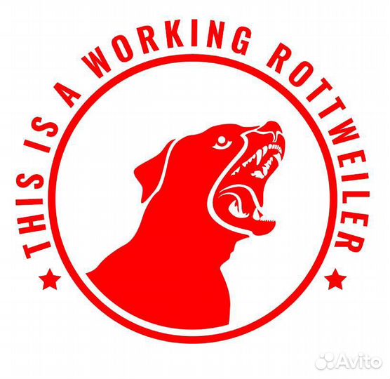 Кинолог, дрессировщик инструктор по дрессировке