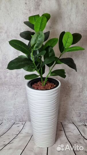 Фикус искусственный в кашпо с подсветкой