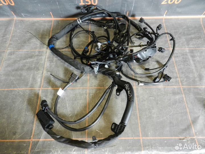 Жгут электропроводки - Mercedes-Benz S-klasse W221