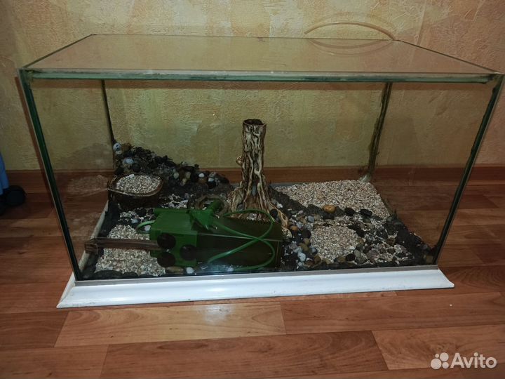 Аквариум готоввй