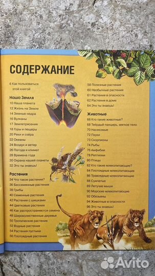 Энциклопедия необходимых знаний