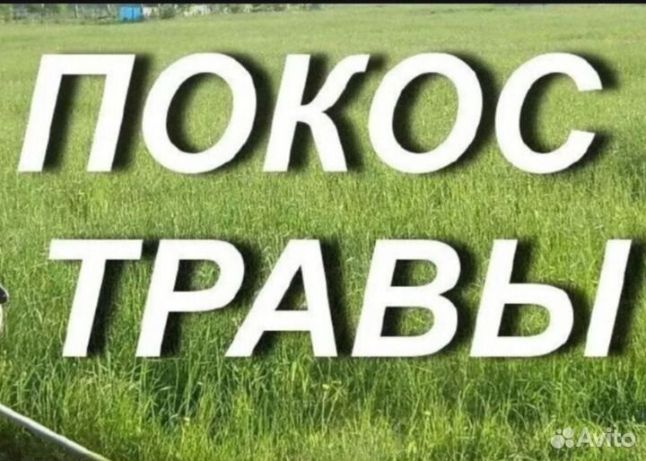 Скос, покос травы бригадой быстро организация