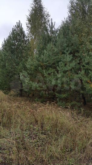 Участок 2 га (СНТ, ДНП)