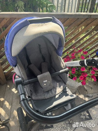 Коляска 2 в 1 adamex