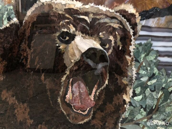 Хозяин Камчатки