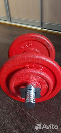 Гантеля разборная