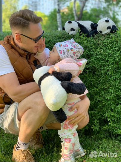 Няня/Гувернёр/Педагог/Усатый нянь/Бебиситтер