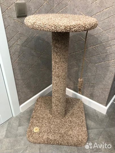 Когтеточка