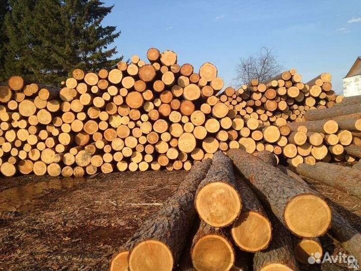 Лес кругляк пиловочник