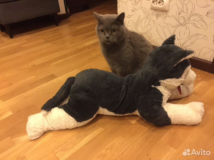 Большая плюшевая собака икеа