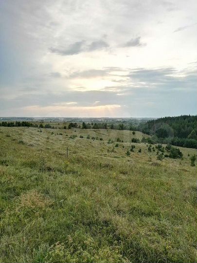 Участок 7 га (ИЖС)