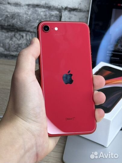 iPhone SE 2020 64gb красный
