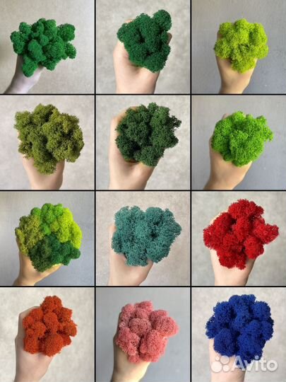 Мох для дизайна, 500г, цвет Лесной Зеленый