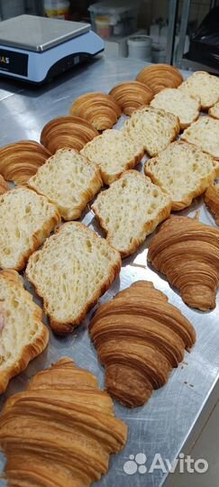 Помогу организовать общепит