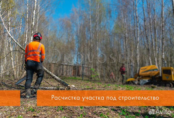 Обрезка, удаление, валка и спил деревьев в Михнево