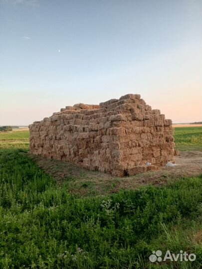 Сено люцерны в тюках