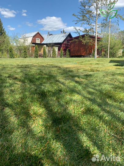 Рулонный газон