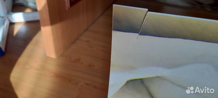 Кухонный фартук Белая роза