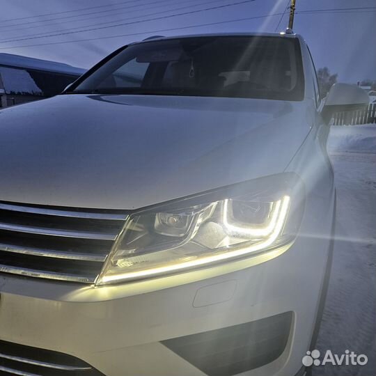 Дхо реснички