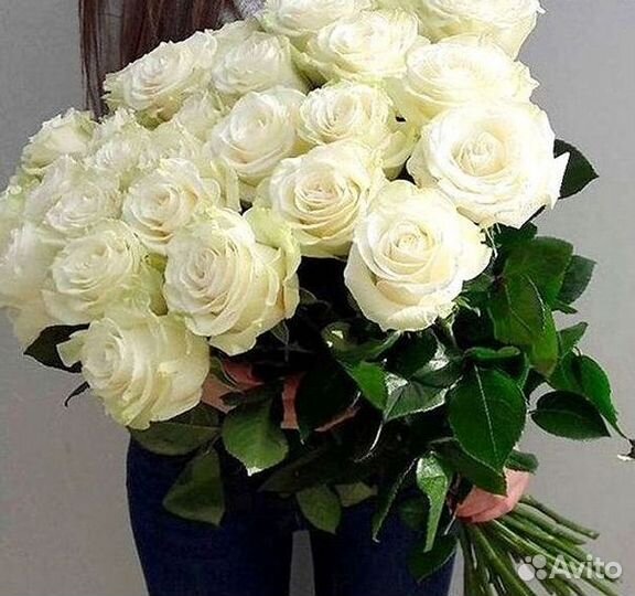 101 Роза Цветы Букеты 51 25 Роз Доставка