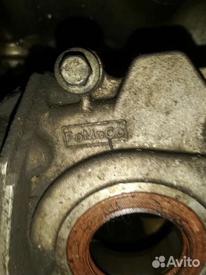 Масленный насос Ford focus 2