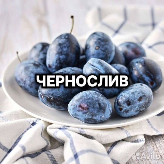 Плодовые декоративные деревья