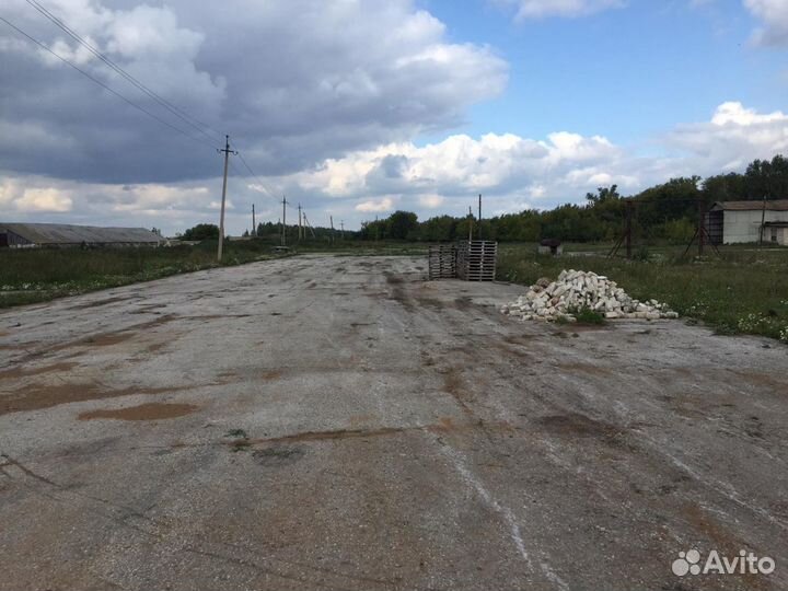 Фермерское хозяйство в Самарской области