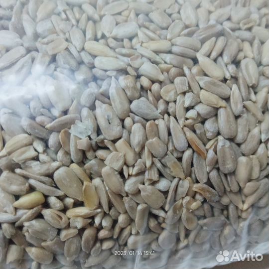 Семена подсолнечника