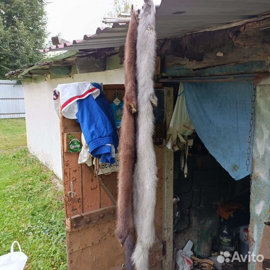 Шкурки норки