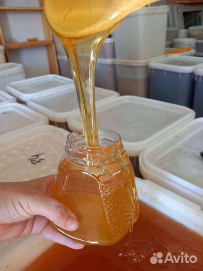 Мёд горного Алтая прямые поставки в Москву