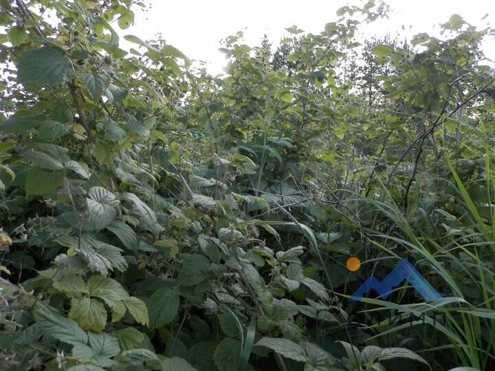 Дом 27,3 м² на участке 22 сот.