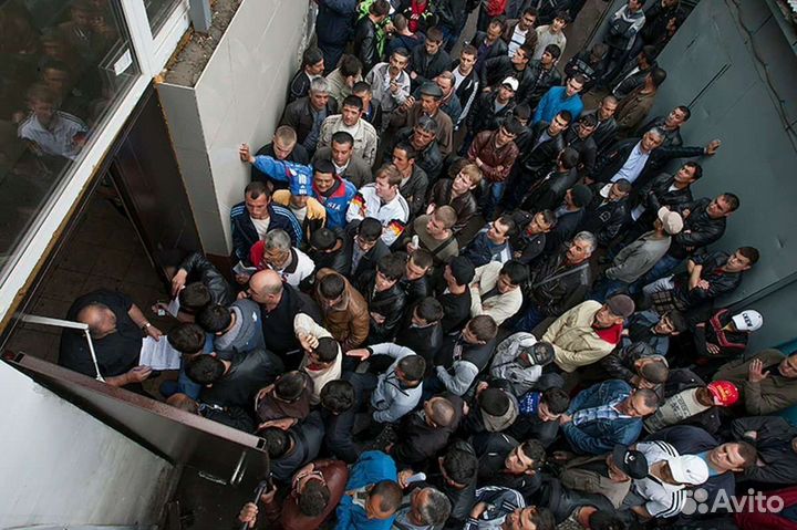 РВП, ВНЖ, гражданство РФ