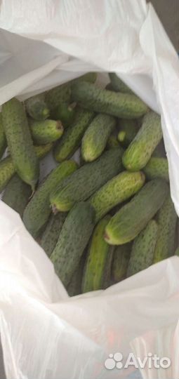 Продукты свои