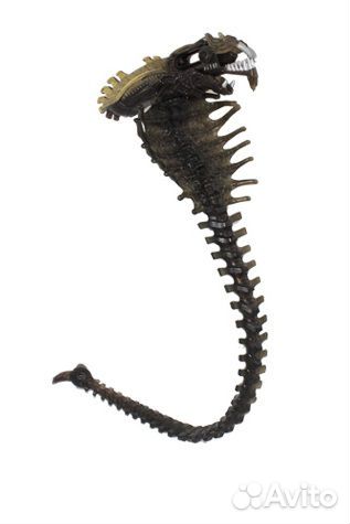 Забавный скелетик Чужого