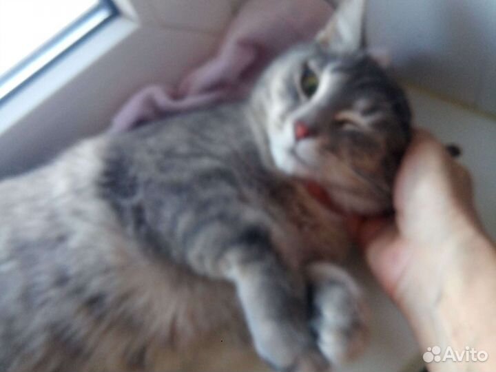 Малышка Тоня