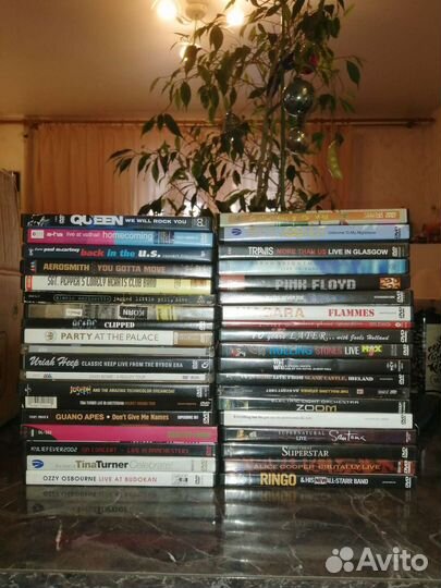 DVD диски / записи концертов и клипов
