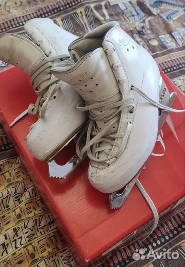 Фигурные коньки edea 210