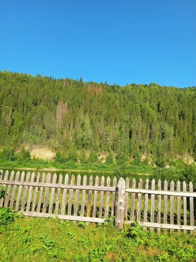 Дом 60 м² на участке 20 сот.