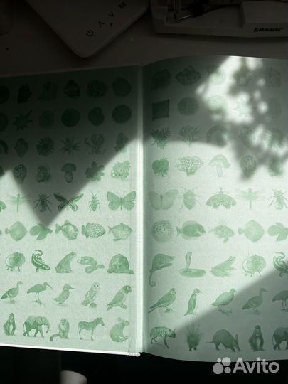 Мир природы Дорлинг Киндерсли