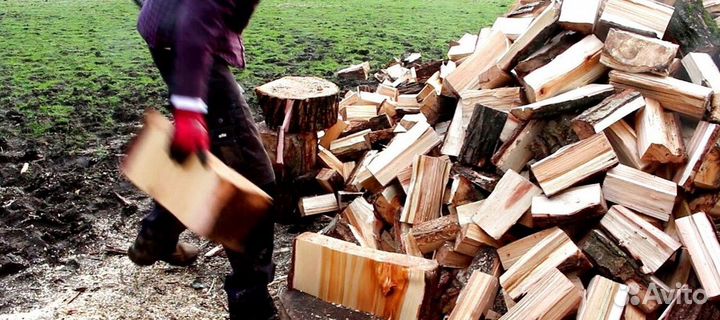 Дрова Береза