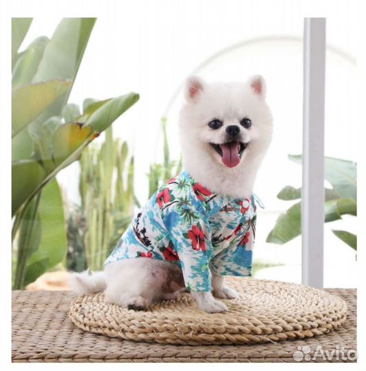Одежда для собак или кошек (новая)