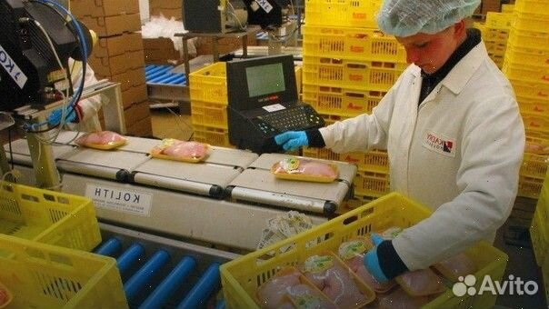 Сортировщик на птицефабрику. Вахта 30 смен