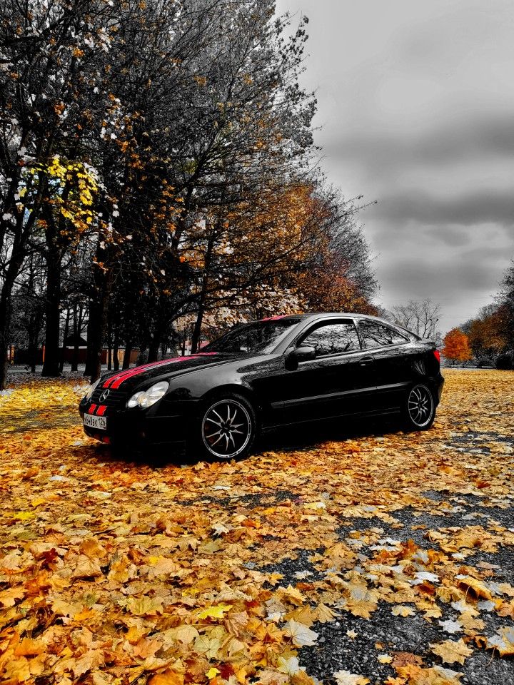 Mercedes-Benz C-класс: фото владельца