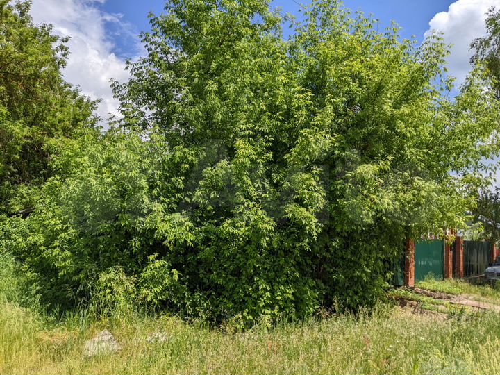 Участок 32 сот. (ИЖС)