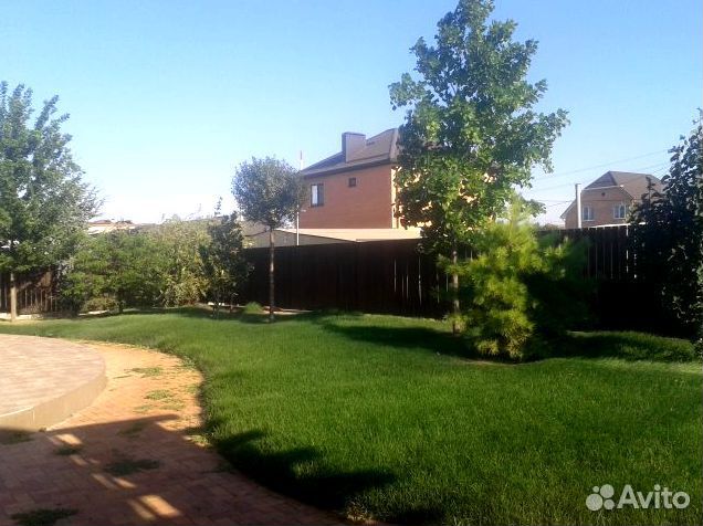 Газонная трава. Ландшафтный дизайн