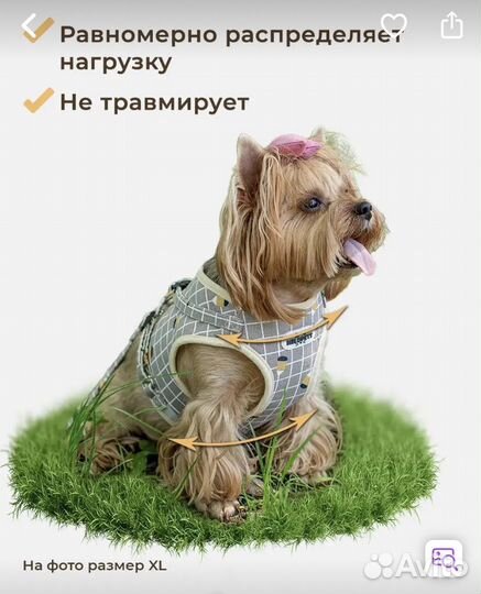 Шлейка для маленьких собак и кошек