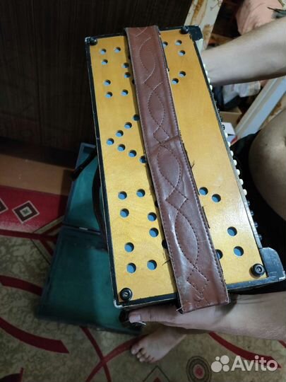 Баян Ростов Дон