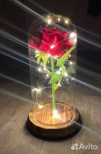 Роза в колбе