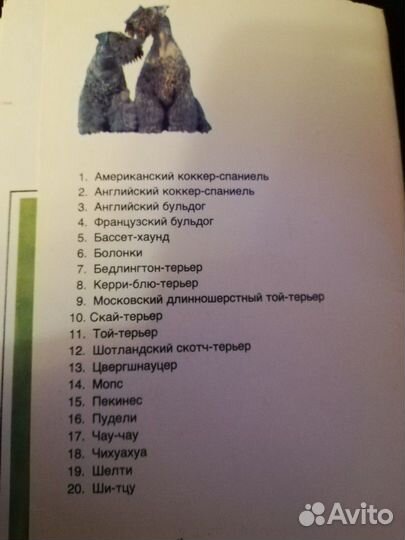 Открытки 